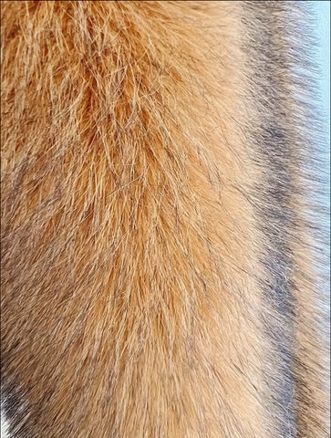 CAZADORA ECO PIEL FAUX FUR ZORRO