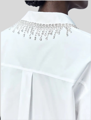 CAMISA CLÁSICA CON CRISTALES 2 CLRS