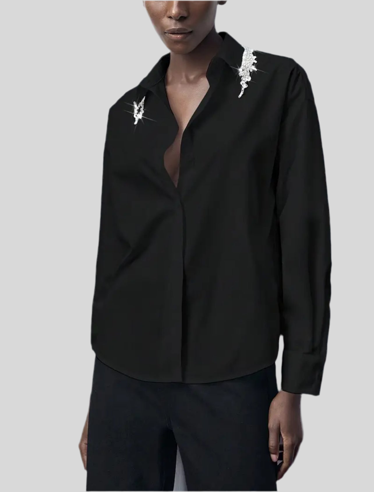 CAMISA CLÁSICA CON CRISTALES 2 CLRS